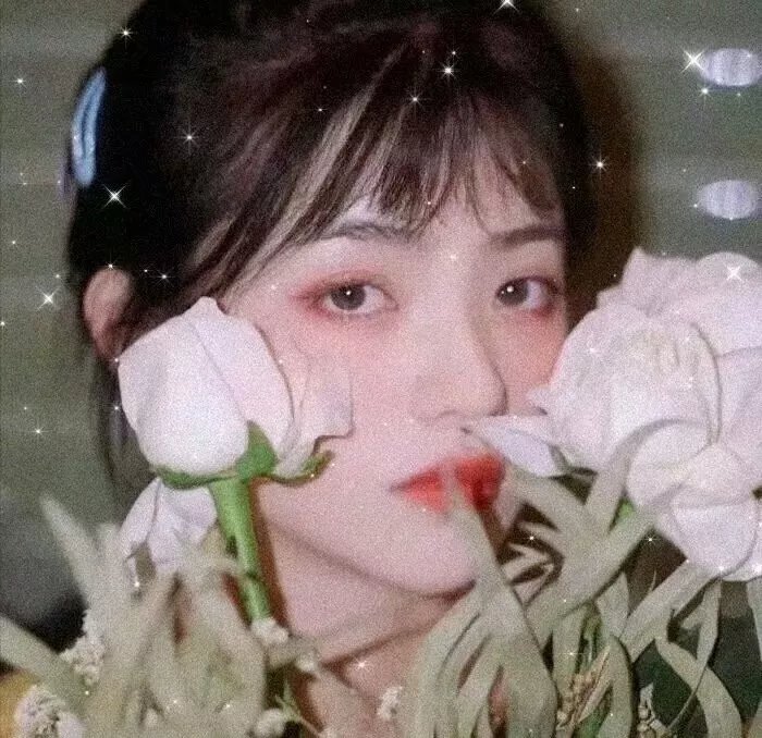 最后的桥